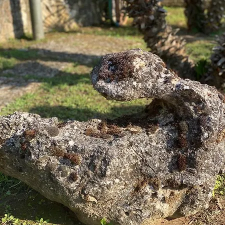 Villa Villa Giannini Caserta